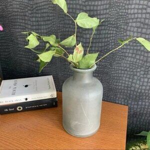 Modern vase Mid century modern minimalist grey frosted. (No plant)